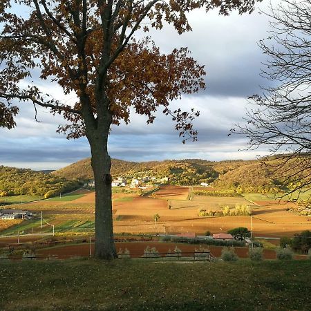 Paglia E Fieno Bed & Breakfast Villaga Luaran gambar