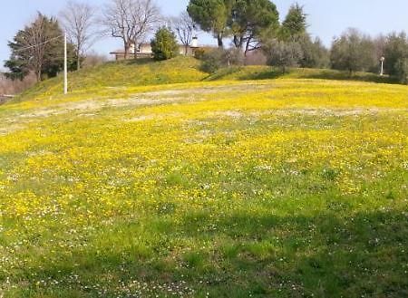 Paglia E Fieno Bed & Breakfast Villaga Luaran gambar
