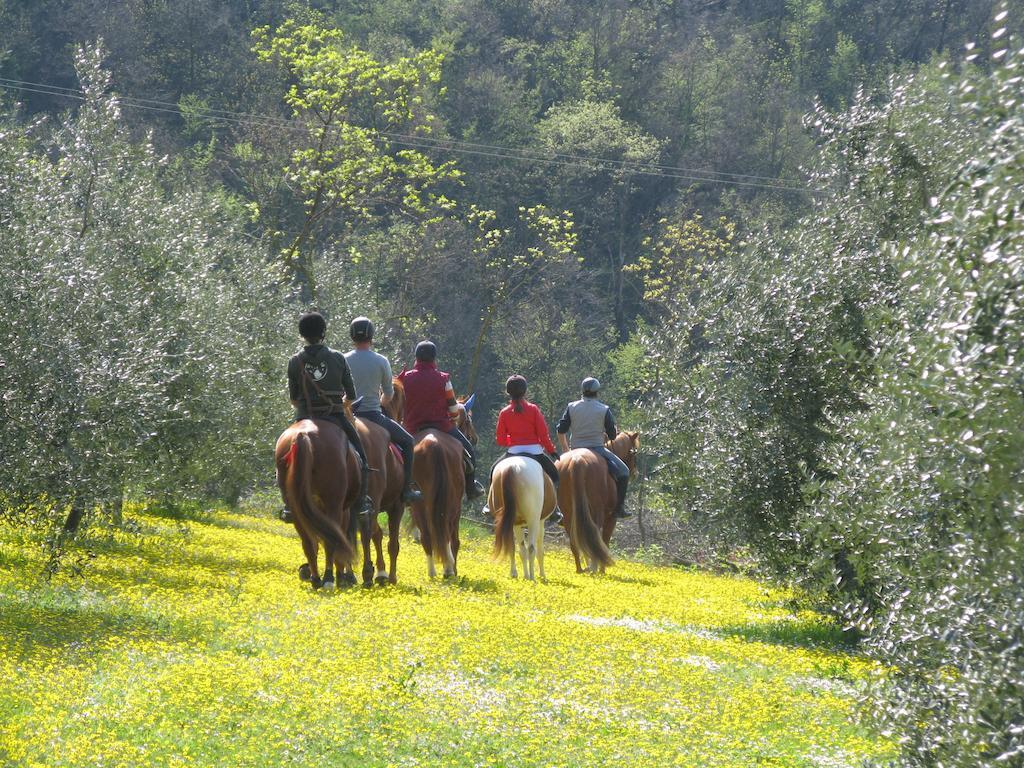 Paglia E Fieno Bed & Breakfast Villaga Luaran gambar