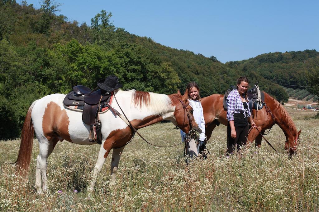 Paglia E Fieno Bed & Breakfast Villaga Luaran gambar