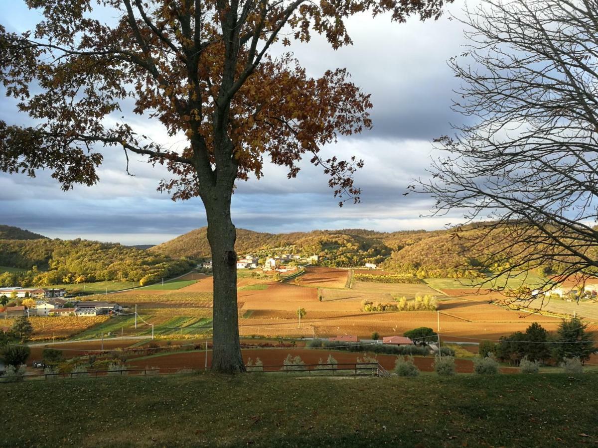 Paglia E Fieno Bed & Breakfast Villaga Luaran gambar